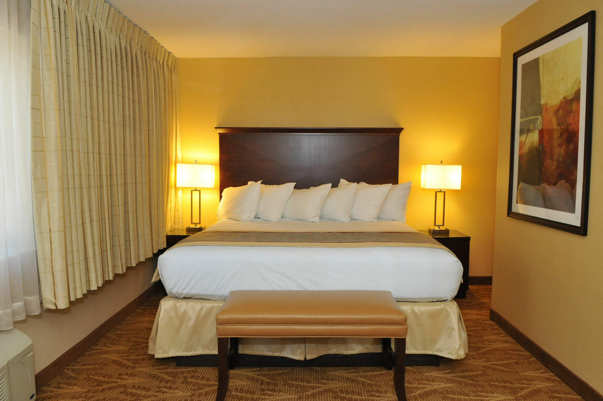 Kahler Inn And Suites Рочестер Экстерьер фото